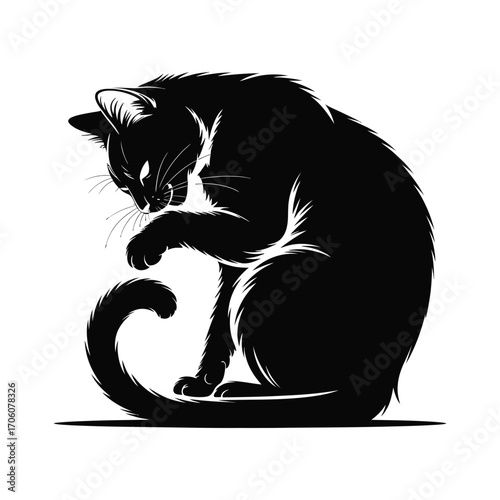 Detailed Feline Silhouette Illustration of a Cat Grooming Itself with Paw Design