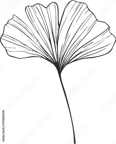 A detailed outline illustration of a delicate flower with elegant petals and a slender stem.