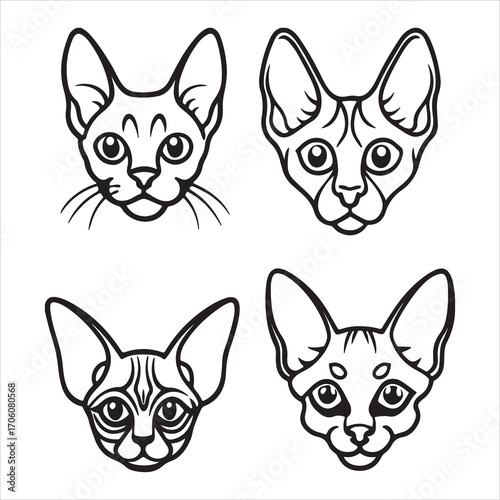 A Mischievous and Playful Devon Rex, a Clown of a Feline with a Wavy and Curly Coat, a Pixie-faced Companion with a Doglike Personality, a Result of a Genetic Mutation