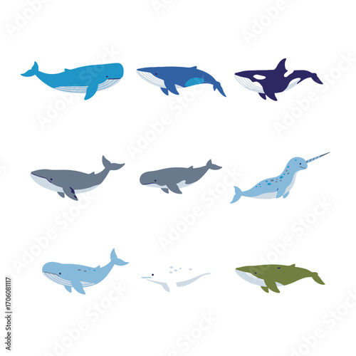Set of Flat Design Marine Whale Icons, Simple and Colorful Stock Vector