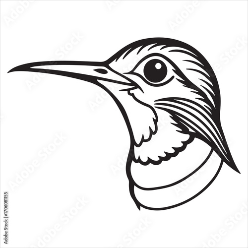 A Vibrant and Striking Siberian Ruby Throat, a Migratory and Elusive Passerine Songbird, a Small Vocalist with a Beautiful Plumage and a Ruby Red Throat