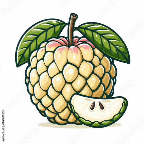 Custard Apple Cherimoya Fruit Illustration Vector Graphic