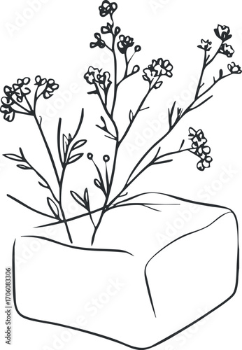 A minimalist line art illustration of a small flowering plant growing from a rock.