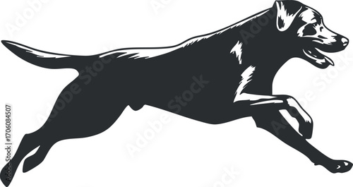 A dynamic silhouette of a leaping dog showcasing active movement and playful energy.