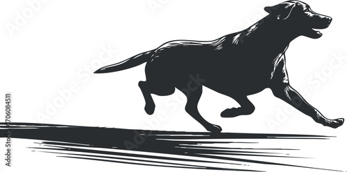A dynamic silhouette of a running dog illustrating energy and joy in movement.