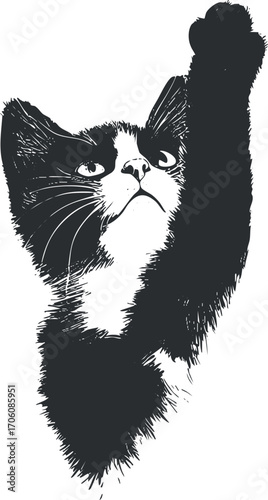 Illustration of a curious and playful cat reaching out with its paw.