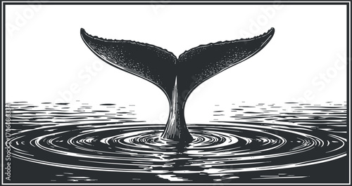 Stylized illustration of a whale tail emerging from water with ripples and waves.