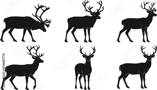 Silhouette collection of deer with antlers in diverse poses, wildlife vector illustration for nature, animal, forest, hunting, and outdoor adventure themes