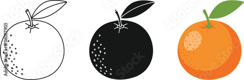 Orange Fruit with Leaf Icon Set Silhouette, Outline, and Colored on White