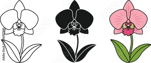 Orchid Flower Illustrations Line Art, Silhouette and Pink with Outline on White