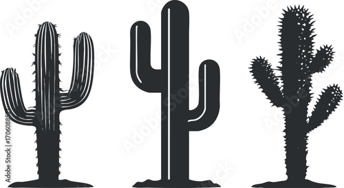 Silhouette illustration of three unique cacti in a minimalist style.
