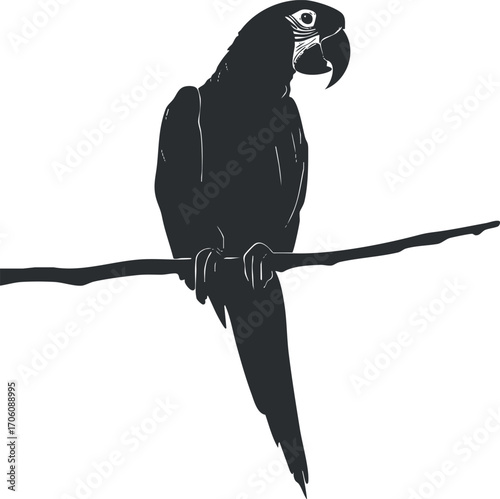 A sleek silhouette of a parrot perched on a branch, showcasing its unique features and elegance.