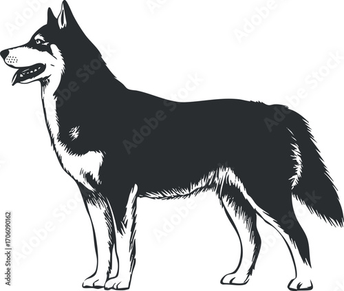 A detailed silhouette illustration of a standing dog breed showcasing its features and posture