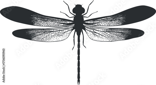 Silhouette of a dragonfly showcasing intricate wing patterns and elongated body.