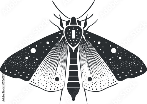Black and white illustration of a detailed moth with intricate wing patterns and features.