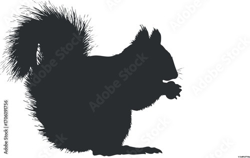 A silhouette of a squirrel in profile, showcasing its bushy tail and small paws.