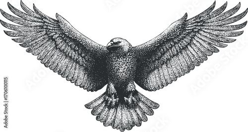 A detailed illustration of a majestic eagle soaring with spread wings in flight.