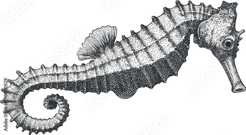 Detailed illustration of a seahorse showcasing its unique features and intricate design