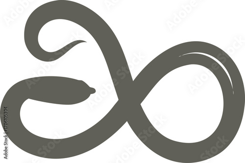 Gray infinity symbol with a snake wrapped around it on a white background serpent reptile