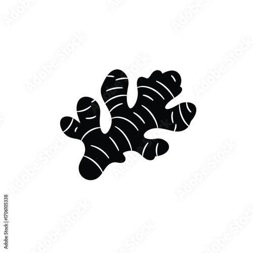 Ginger root silhouette with textured segments and highlights on a white background. EPS 10.