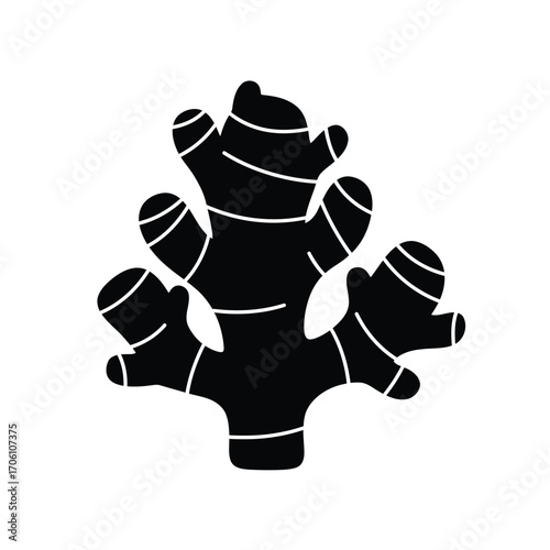 Ginger root silhouette with textured segments and highlights on a white background. EPS 10.