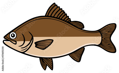 Illustration of a Brown and Beige Fish, Isolated on White Background