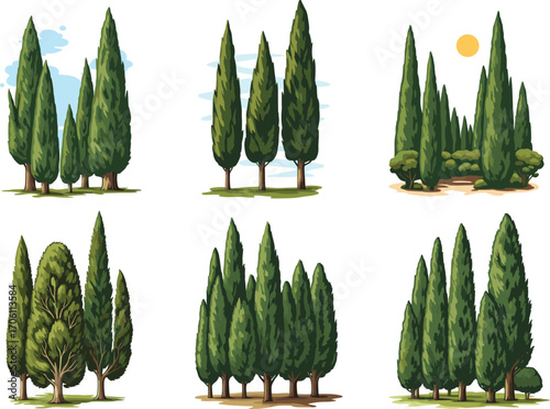 Cypress tree vector set, Mediterranean trees, tall evergreen conifers, landscape forest trees, stylized nature clipart, hand drawn foliage