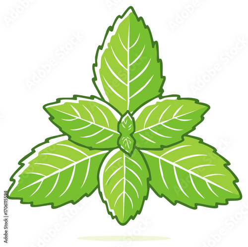 Stylized fresh green mint sprig illustration of an aromatic herb icon