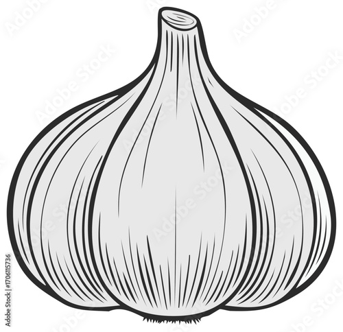 Fresh Whole Garlic Bulb Isolated Vector Illustration Healthy Kitchen Ingredient Culinary Cooking Spice