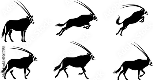 Oryx silhouettes, Oryx svg, Horned animal silhouettes, Horned oryx svg, Oryx gazella svg, Oryx vector set.