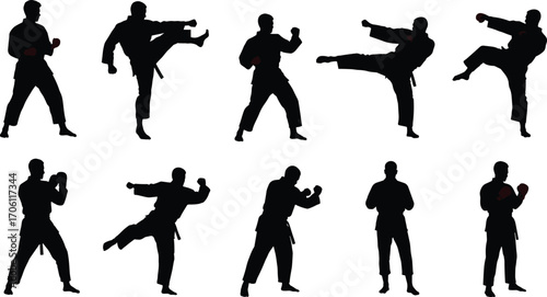 Martial arts silhouettes, karate poses, taekwondo kicks, red gloves, fighting stances, training moves, black icons, combat techniques, defense, action
