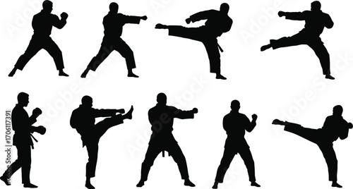 Martial arts silhouettes, fighting poses, karate kicks, defensive stances, training moves, black icons, discipline, combat action, technique, motion