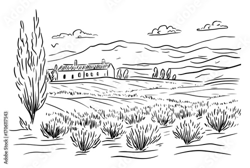 Rolling lavender fields with farmhouse and cypress trees, idyllic Tuscan countryside panorama – vector illustration