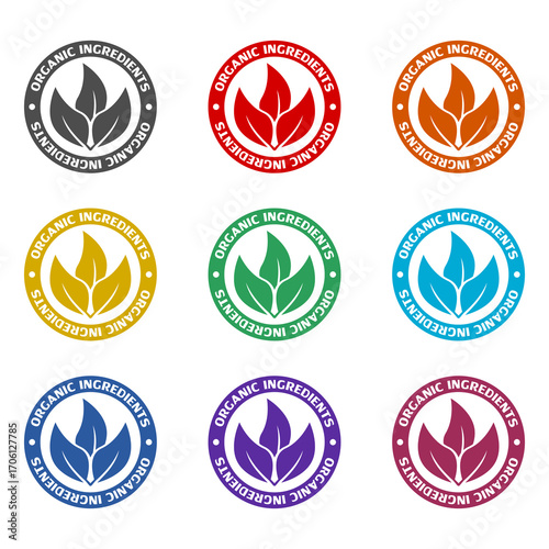 Organic ingredients icon isolated on white background. Set icons colorful