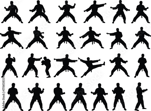 Karate silhouettes, martial arts poses, fighting stances, karate training, self-defense moves, karateka practicing, black belt, combat sport, action poses, discipline and focus