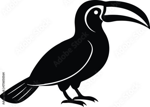 exotic jungle toucan vector design
