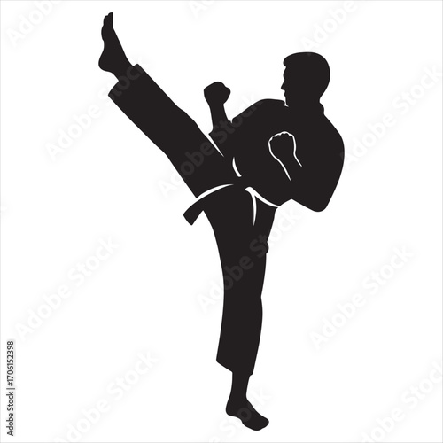 Silhouette of a martial artist performing a dynamic high side kick in a combat stance