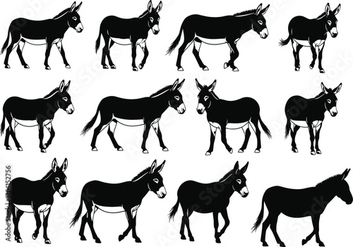 Donkey silhouettes collection, various donkey poses, farm animal illustrations, black and white donkey images, rural livestock, donkey profile views, animal vector set, farm life