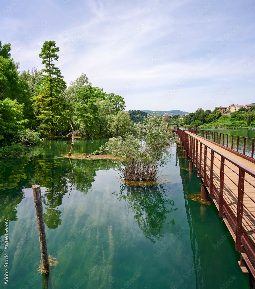Fototapeta premium parco