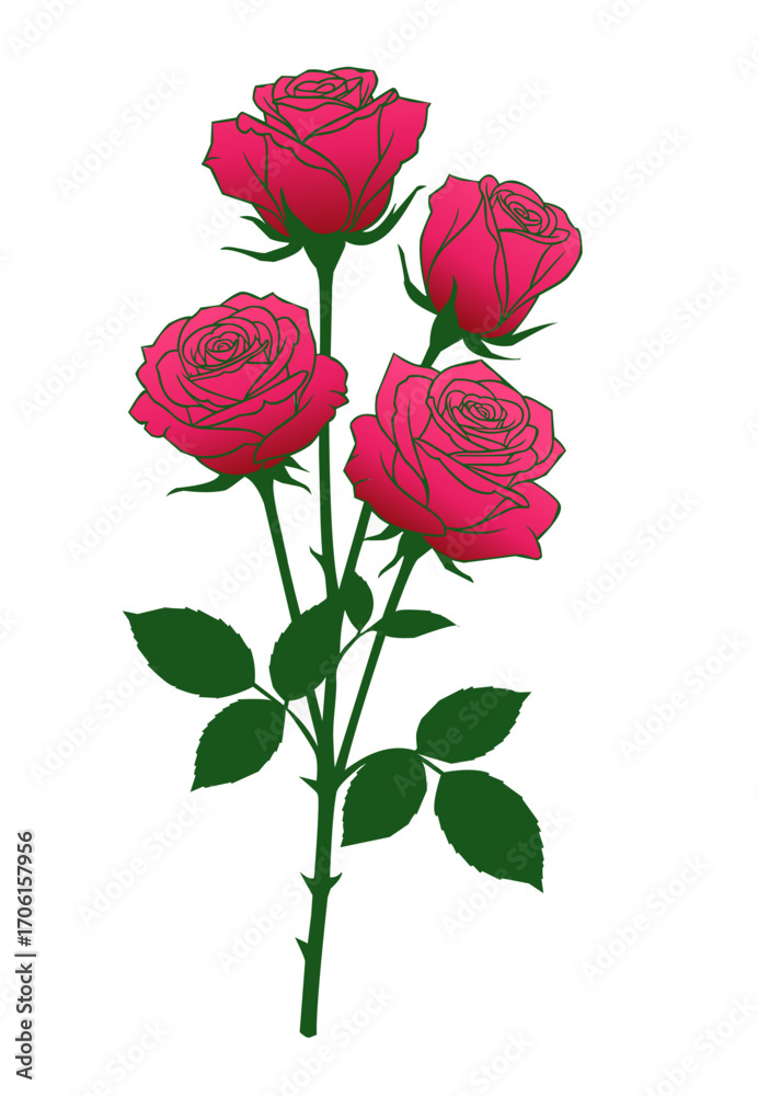 Fototapeta premium Rose flower isolated vector