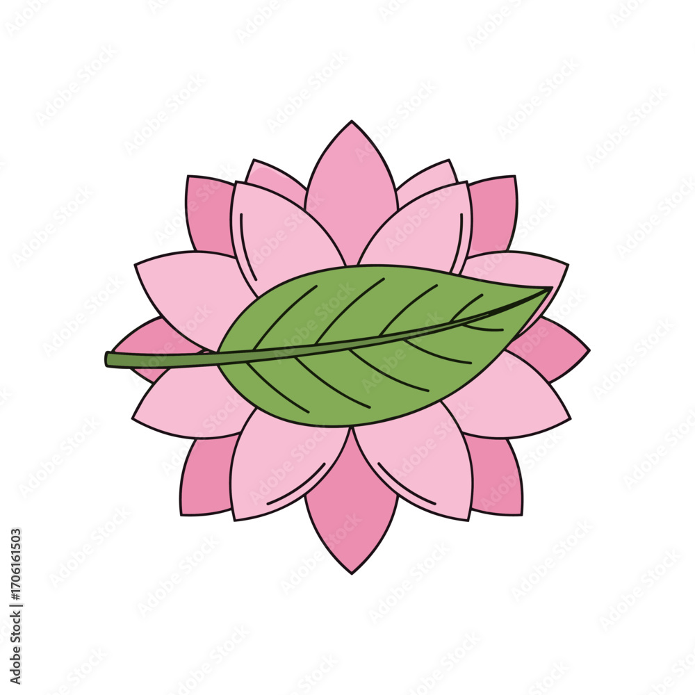 Fototapeta premium A vibrant pink lotus flower with a green leaf, symbolizing tranquility and beauty against a white background