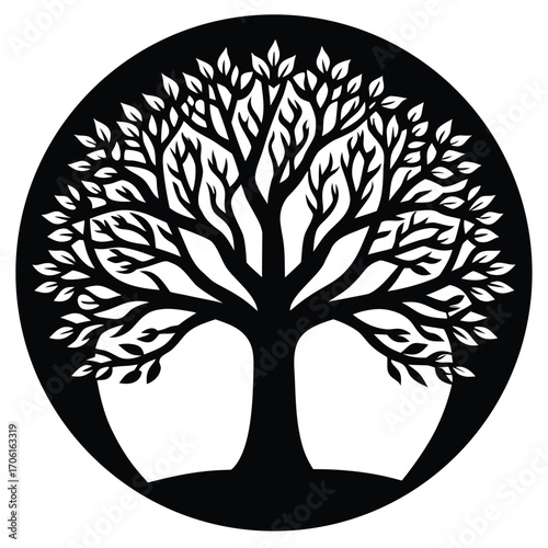 sunset silhouette tree life isolated white background nature