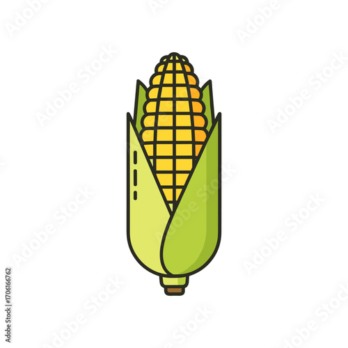 Vibrant illustration of a corn cob with detailed kernels and green husk against a plain background
