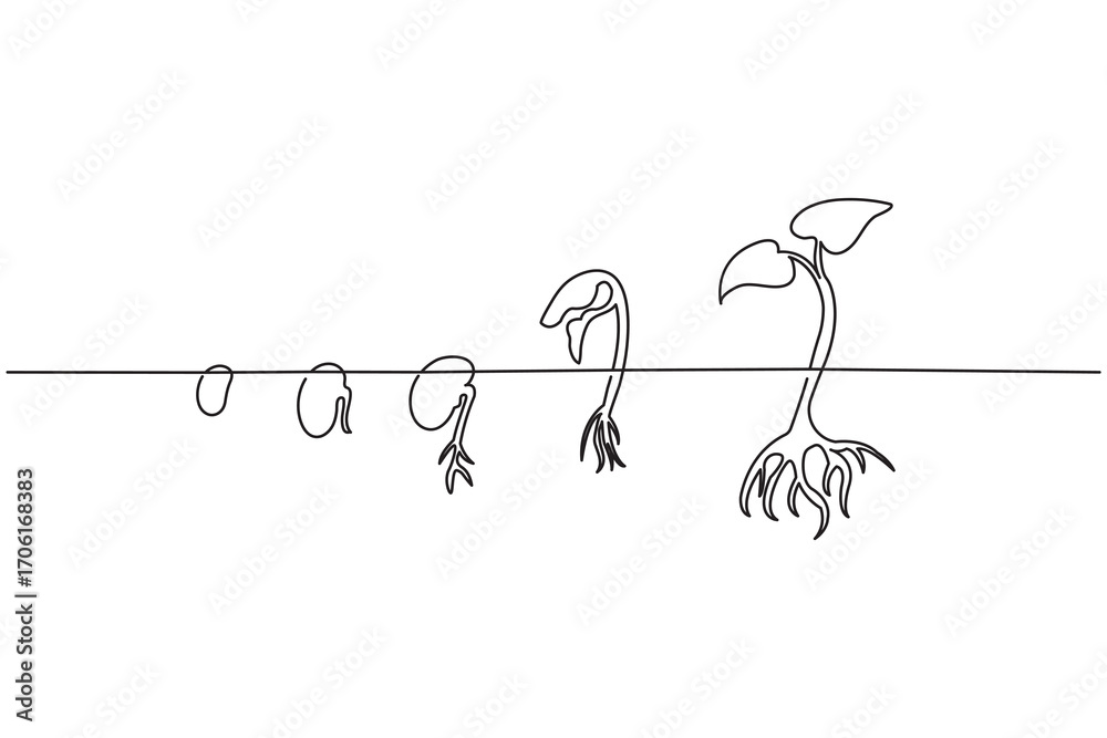 Fototapeta premium Minimalist one line art drawing of plant growth stages with roots and leaves on a white background