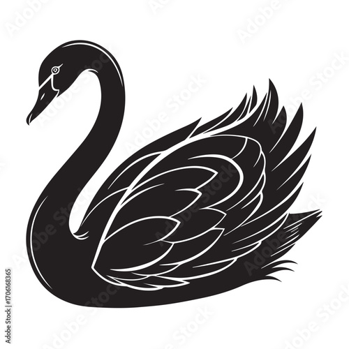 Black swan silhouette isolated on white background, elegant bird with graceful neck and detailed feathers, symbol of uniqueness and beauty