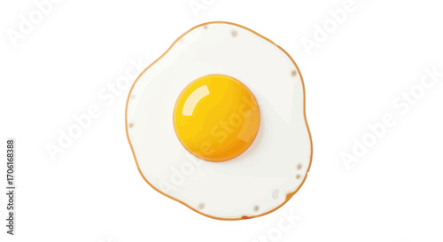 A single perfectly cooked sunny side up fried egg.