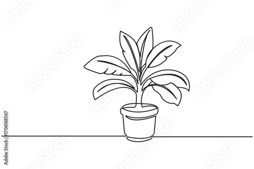 Minimalist one line art drawing of plant growth stages with roots and leaves on a white background