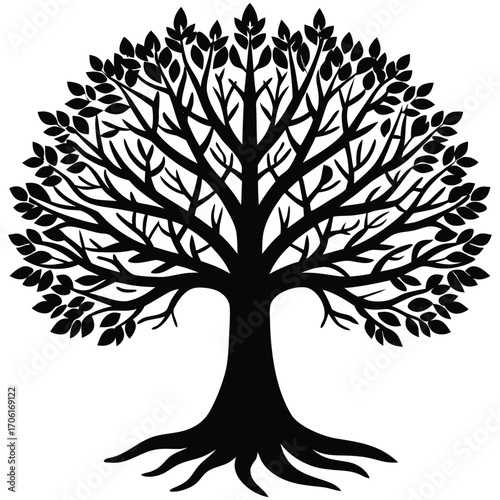 vintage tree of life etching isolated on white background
