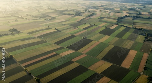 Aerial view of farmland