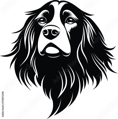 Boykin Spaniel head silhouette with wavy ears, soulful eyes, and feathered coat in black vector